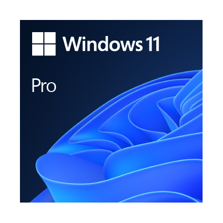 MIcrosoft Windows 11 Pro 64Bit Eng Oem - 1 Users